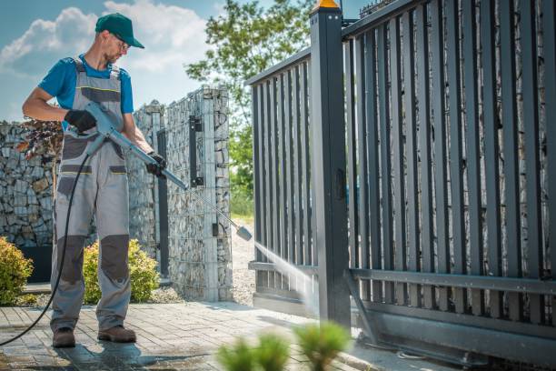 Best Pre-Holiday Cleaning  in Cross Roads, TX