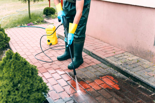 Best Driveway Pressure Washing  in Cross Roads, TX