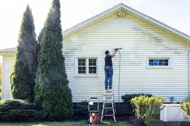 Best Gutter Cleaning  in Cross Roads, TX
